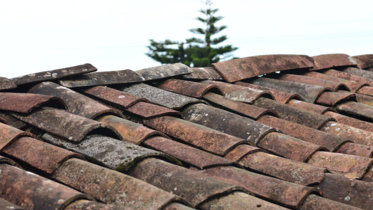 Top 4 Roof Cleaning Mistakes to Avoid