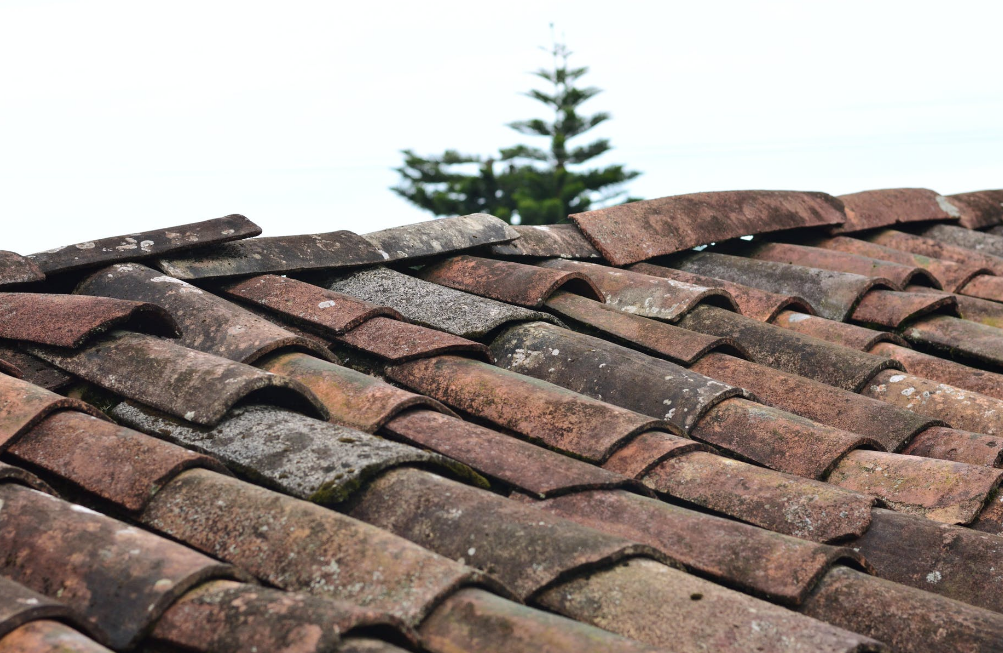 Top 4 Roof Cleaning Mistakes to Avoid