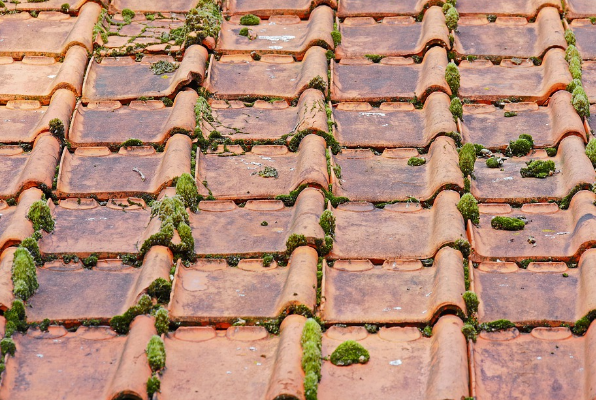 This DIY Moss Killer Is Everything You Need for Your Roof