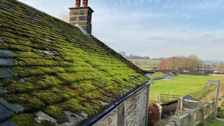 The Importance of Moss Removal from Your Roof and How to Do It Safely