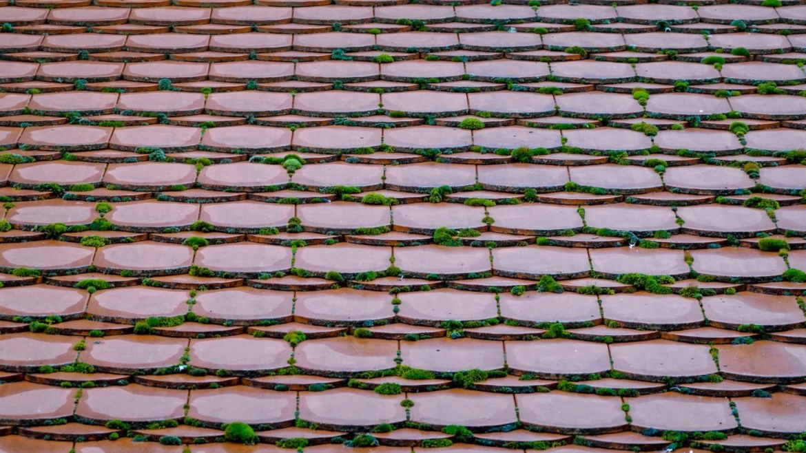 An image of a house roof with moss