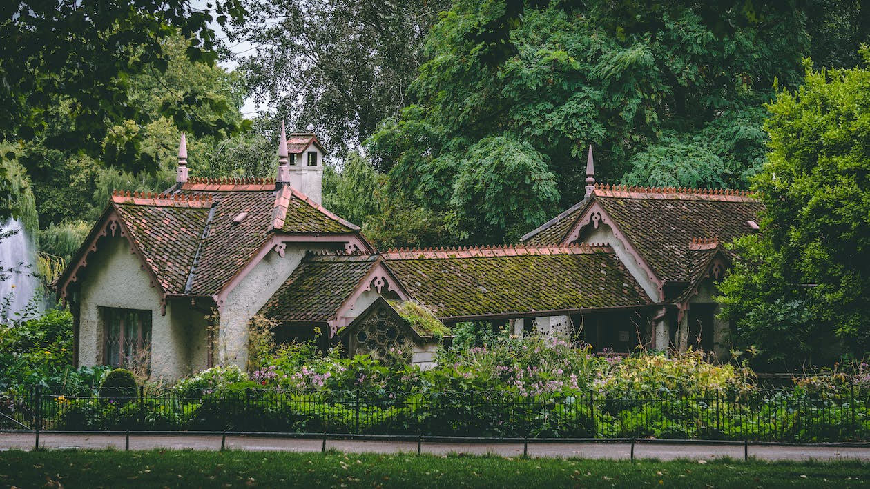 An image of a roof with moss growth