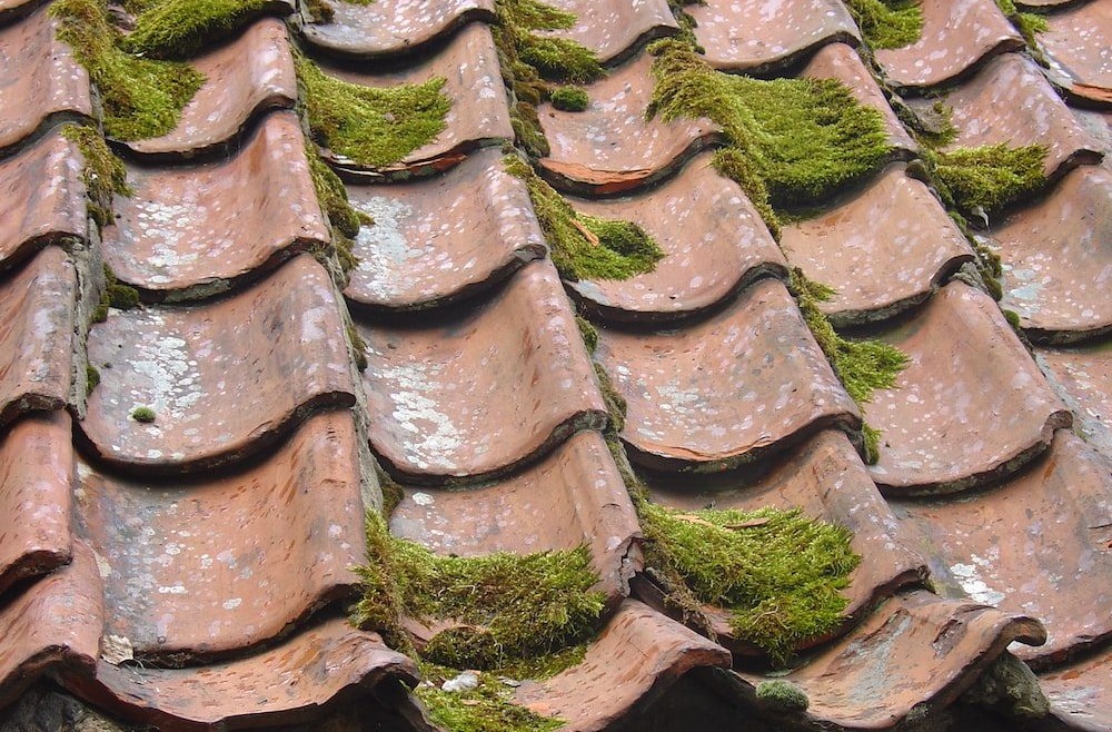 Crystal Clear Views and Moss-Free Roofs: The Ultimate Guide to Commercial Residential Roof Maintenance