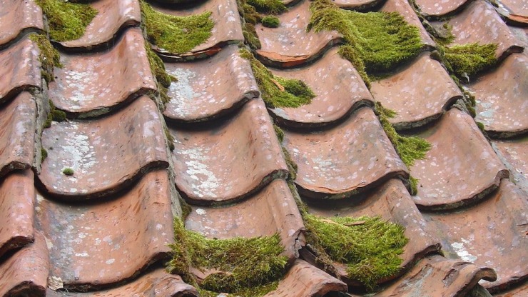 Crystal Clear Views and Moss-Free Roofs: The Ultimate Guide to Commercial Residential Roof Maintenance