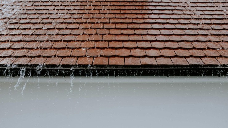 Gutter Cleaning: Why It’s Essential for Homeowners