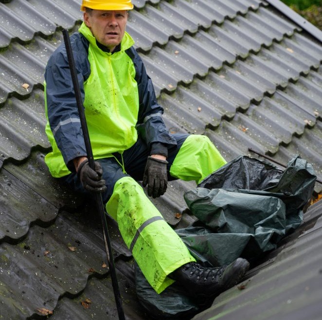 Moss Removal on Roofs: Protecting Your Home from Costly Damage in Modesto