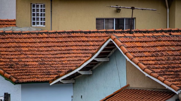 How to Tell When Your Roof Needs Cleaning: Key Signs to Watch For