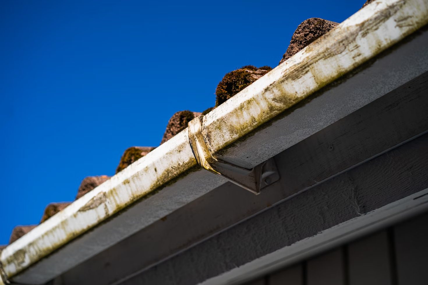 The image shows a close-up of a roof gutter with visible moss and dirt buildup against a clear blue sky.